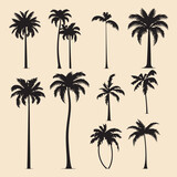 Fototapeta Dinusie - palm set black silhouette vector