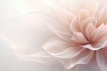 Organza Flower Dahlia On A Delicate Powdery Pink Background. Copy Space