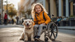 Little girl in a wheelchair on the street with a dog rehabilitation