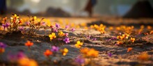 Tiny, Colorful Flowers Bloom Naturally In The Floor Of Bangladesh Village Fields During Winter. They Don't Require Planting And Grow On Their Own In The Paddy Fields, Thanks To Nature's Grace.