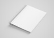 © MockupsDesign - Blank brochure mockup on grey background