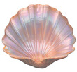 © lerinarts - Isolated pearl pink shell
