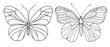 Butterfly in One continuous line drawing
