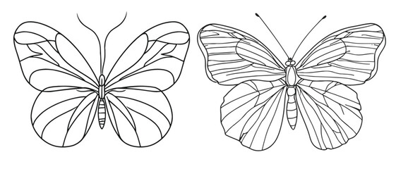 Wall Mural - Butterfly in One continuous line drawing