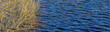 Background banner images foliage and rippled water, United Kingdom