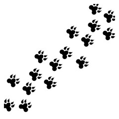 Fototapete - frame with black dog track footprint isolated on white background animal paw print silhouette