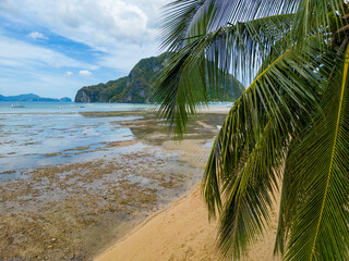 Wall Mural - Philippines Aerial View. Corong Corong Beach. Palawan Tropical Landscape. El Nido, Palawan, Philippines. Southeast Asia.