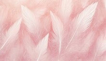 Beautiful Light Pink Feather Pattern Texture Background