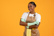© Prostock-studio - african american lady cleaner in apron posing crossing hands, studio