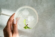 © ADDICTIVE STOCK - Refreshing drink with lime and mint in a glass held by hand