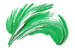 green brush strokes and splashes isolated against transparent background

