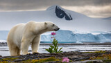 Fototapeta  - ours polaire et réchauffement climatique