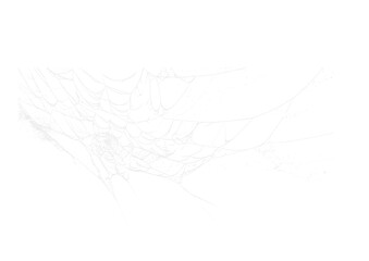 Wall Mural - spider web v1 alpha