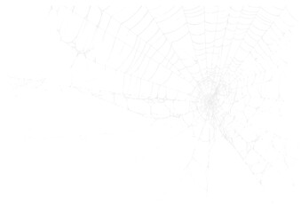 Wall Mural - spider web v3 alpha