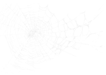 Wall Mural - spider web v2 alpha