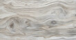 © spr0ut7 design - light grey driftwood background