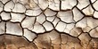 Dray Cracked Earth Background Texture cracked giving a Sense of Aridness and Natural Patterns - Dry Earth Wallpaper created with Generative AI Technology