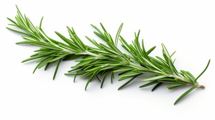 Top view of Rosemary isolated on white background. Fresh BIO herbs. isolated on white background,. Created using Generative AI Technology