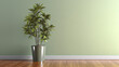 clean blank sage green wall with tropical tree in green modern design pot, baseboard on wooden parquet in sunlight for luxury interior design