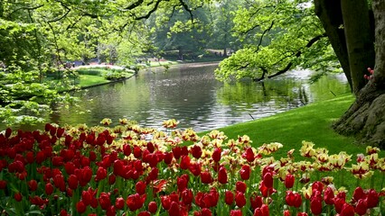 Canvas Print - Scenic Keukenhof gardens in Netherlands during spring time.