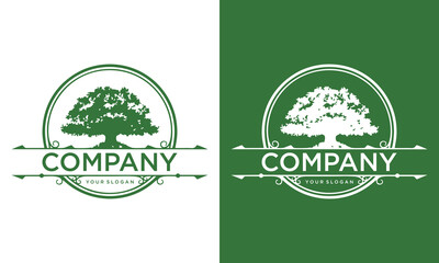 Wall Mural - Root Leaf Family Tree of Life Oak Banyan Maple Stamp Seal Emblem Label logo design vector