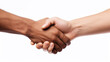© Jasmina - Interracial black and white handshake on white background