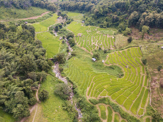 Wall Mural - Aerial view of rice terraces in Ban Li Khai village in rural area of Chiang Rai province of Thailand.