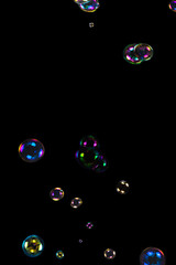 Wall Mural - Soap bubbles isolated on a black background