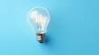 © alionaprof - Incandescent light bulb on blue background with copy space, top view