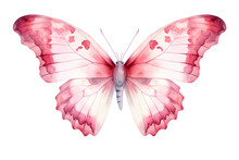 Pink Watercolor Butterfly Design