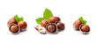 Collage of filbert nuts on white backgrounds