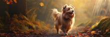 Realistic Dog With Bushy Tail And Black Ears, Walking On A Dirt Path Through A Forest With Tall Trees And Colorful Leaves, With Rays Of Sunlight And Mist Creating Magical Atmosphere