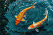 Koi-Fische wirbeln im Wasser, Draufsicht nach unten