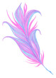 Delicate pink-violet feather for Brazilian carnival. Decorative candle or leaf with an elegant curved petals for a zoo or nature reserve. Stylish isolated peacock boa or plume for fashion illustration