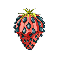 Wall Mural - Isolated illustration of fruits in cardboard style, cut out of paper. Tropical fruit, strawberry on a white background. Blank for designer, label, icon. Vector illustration by Line for coloring