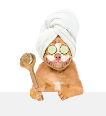 Sticker - Smiling Mastiff puppy with towel on it head, with pieces of cucumber on it eyes and with cream on it face looks above empty white banner and holds shower brush. isolated on white background