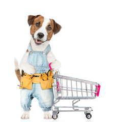 Poster - Funny Jack russell terrier puppy wearing denim overalls with tool belt holds the shopping cart. isolated on white background