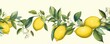 Lemon repeated pattern 
