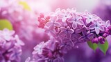 Fototapeta Kwiaty - Beautiful lilac flowers varieties trees wallpaper image Ai generated art