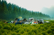 Expansive Pile of Waste Polluting Pristine Forest Meadow Landscape
