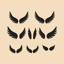 Angel  Or  Bird  Wing  Flat  Black  Icon Silhouette