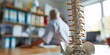 Spinal model displayed on desk in therapist's clinic. Male adult undergoing spine evaluation by physical therapist in blurred background.