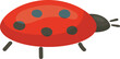 Cute ladybug vector illustration on a white background, simple cartoon style ladybird. Insect and nature, spring and garden life vector illustration.