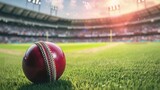 Fototapeta Fototapety sport - closeup of cricket red ball on cricket stadium