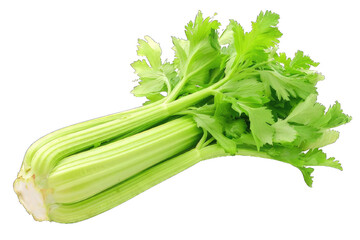 Wall Mural - Celery