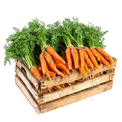 Wall Mural - Carrots On A Crate