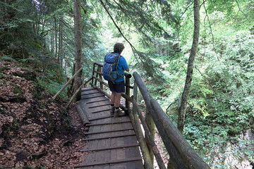 Poster - Wanderer in der Dr.-Vogelgesang-Klamm