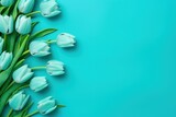 Fototapeta Tulipany - Spring tulip flowers on cyan background top view in flat lay style