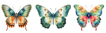 Colorful Butterfly Set Watercolor Illustration Png Isolated On A Transparent Background, Clipart 