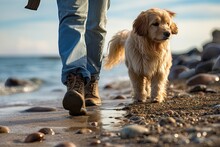 Person and wet golden retriever walking on a pebbly beach near water.